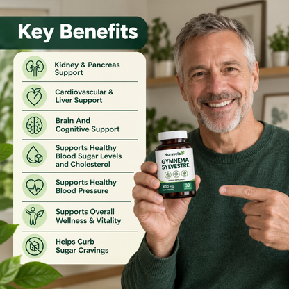 Gymnema Sylvestre 600mg - Herbal capsules