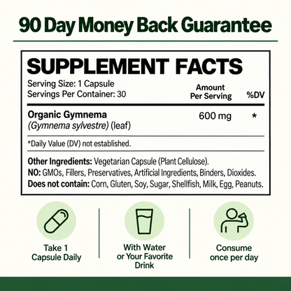 Gymnema Sylvestre 600mg - Herbal capsules